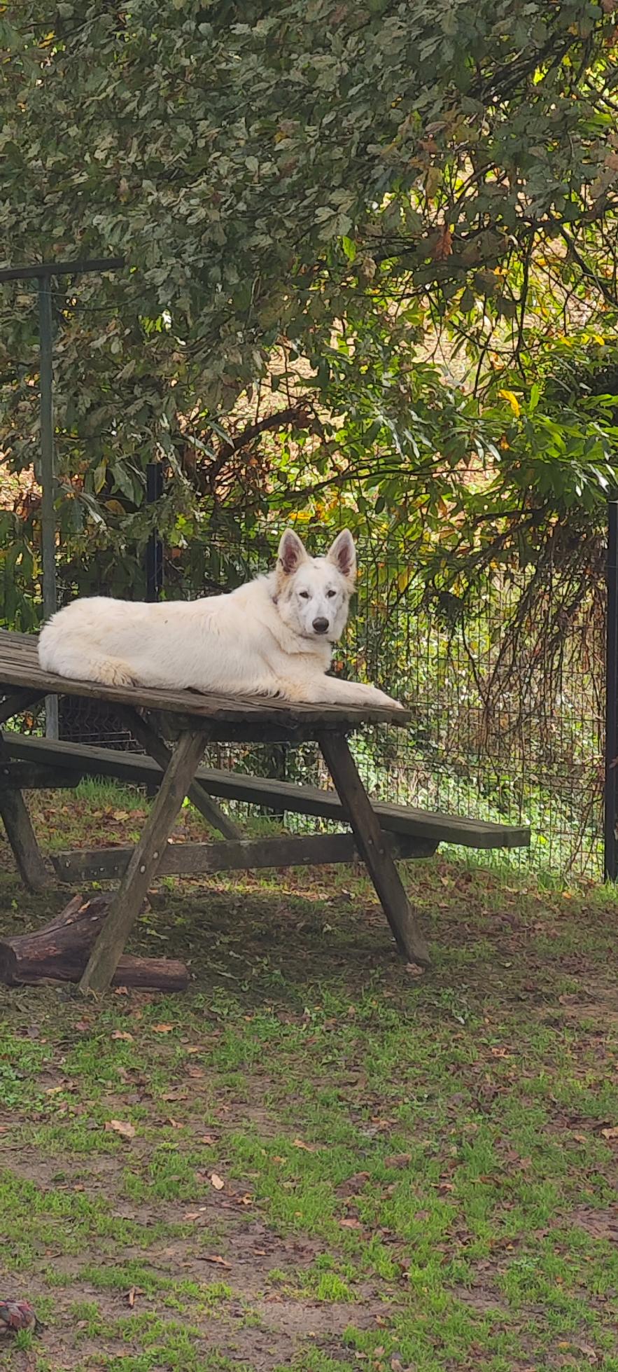 Tokyo_et_Opale_course